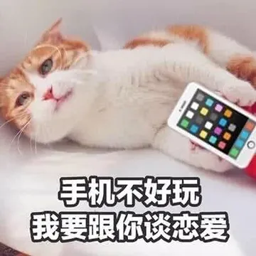 毛机不好机钱要跟你谈恋爱