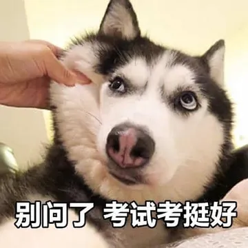 中国春节00053-别问了考试考挺好的