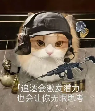 你有哪些好玩的《三角洲行动》表情包?