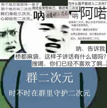 二次元中毒