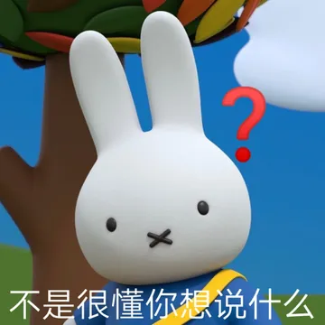 不是很懂你想说什么