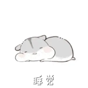 睡觉