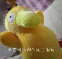 来自可达鸭的凝视