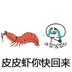 皮皮虾你快回来