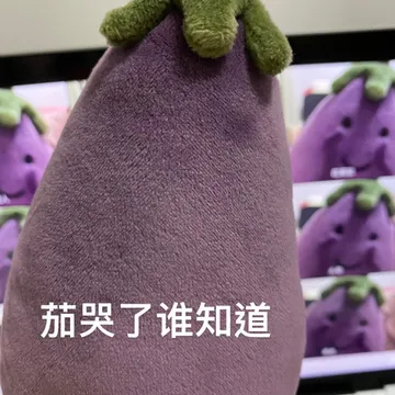 茄哭了 谁知道