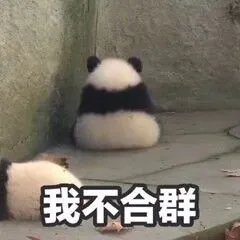 我不合群