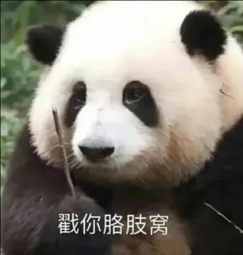 戳你胳肢窝