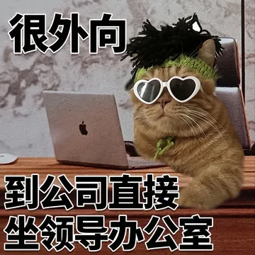 很外向到公司直接坐领导办公室