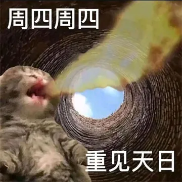 猫咪周一到周日的表情包（打工人版）