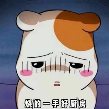 烧的一手好厨房