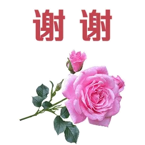 谢谢