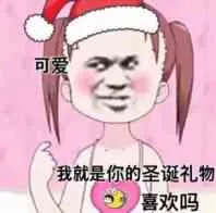 我就是你的圣诞礼物.喜欢吗?