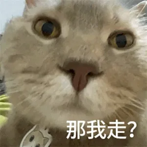 那我走?