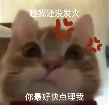 趁我还没发火你最好快点理我