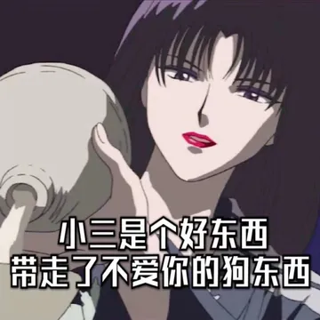 小三是个好东西 带走了不爱你的狗东西