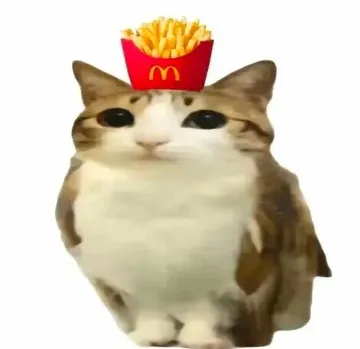 猫头鹰小猫表情包