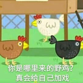 佩奇VI