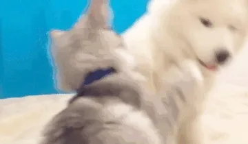 打你打你