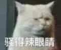 骚得辣眼睛(小白猫)