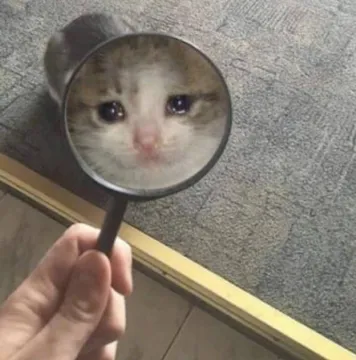 伤心小猫(放大镜)