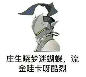 庄生晓梦迷蝴蝶.流金哇卡呀酷烈