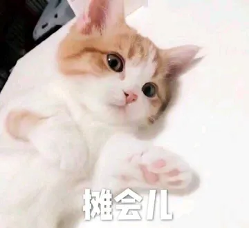 是喵星人啦00008-瘫会儿猫