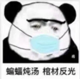 蝙蝠炖汤.棺材反光