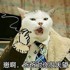 崽啊，爸爸对你很失望！