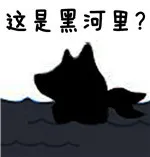 这是黑河里?