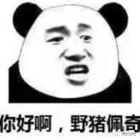 你好啊.野猪佩奇