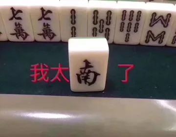我太难了系列（一只猫咪头上被淋水）