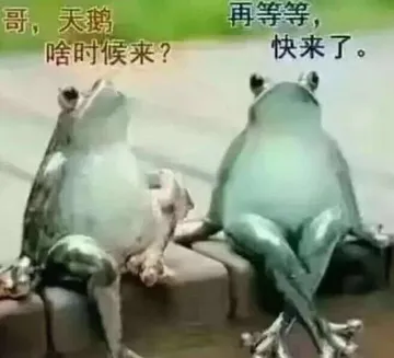 哥.天鹅再等等.啥时候来?快来了.