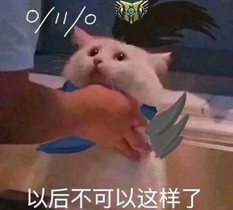 0-11-0以后不可以这样了（猫咪）