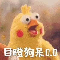 鹦鹉 memes