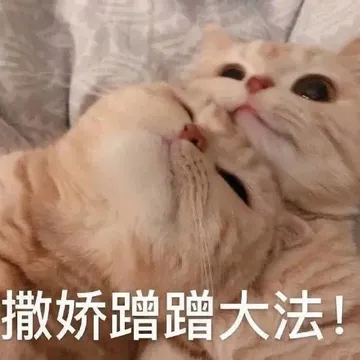 撒娇蹭蹭大法！