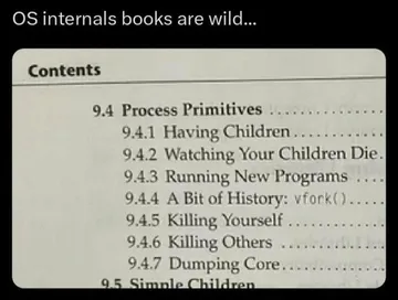 OS Internals Books Are Wild