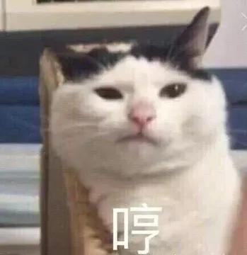 听不听话，嗯？