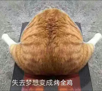 失去梦想.变成烤全鸡