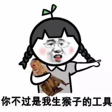你不过是我生猴子的工具