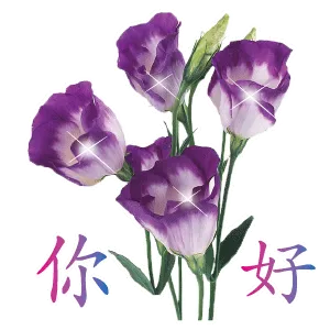 你好