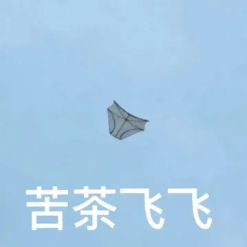 苦茶飞飞