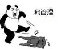 狗管理