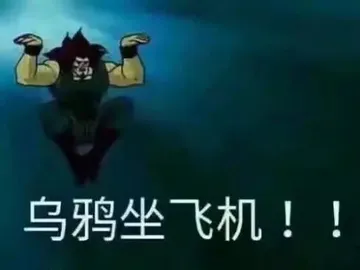 乌鸦坐飞机!!