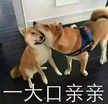 一大口亲亲