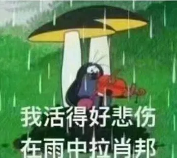 我活得好悲伤.在雨中拉肖邦