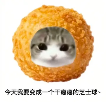 芝士球猫meme表情包