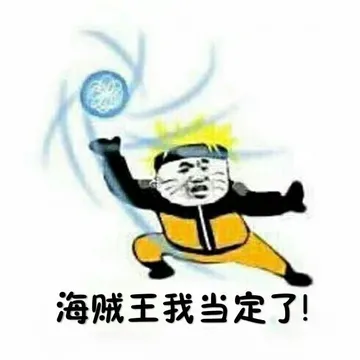 海贼王我当定了!