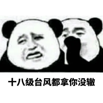 十八级台风都拿你没辙