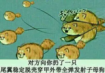对方向你扔了一只尾翼稳定脱壳穿甲外带全弹发射子母狗!