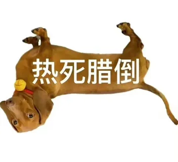 热死腊倒